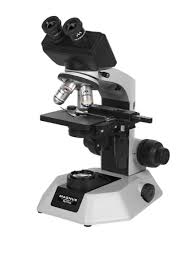 Microscope