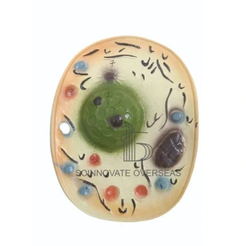 Fiber Animal Cell